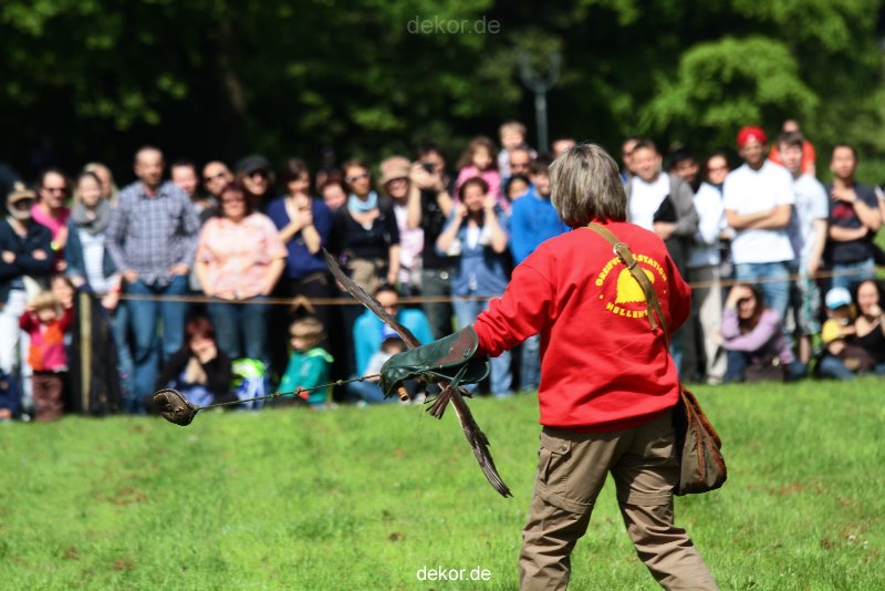 grugapark-greifvogelschau-2012-04-358