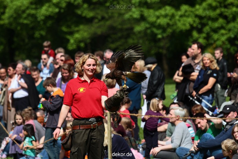 grugapark-greifvogelschau-2012-04-376