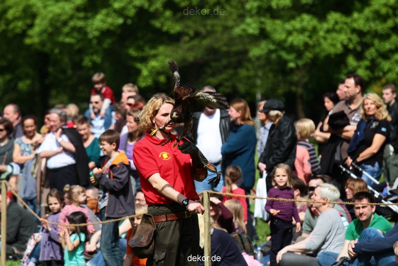grugapark-greifvogelschau-2012-04-377