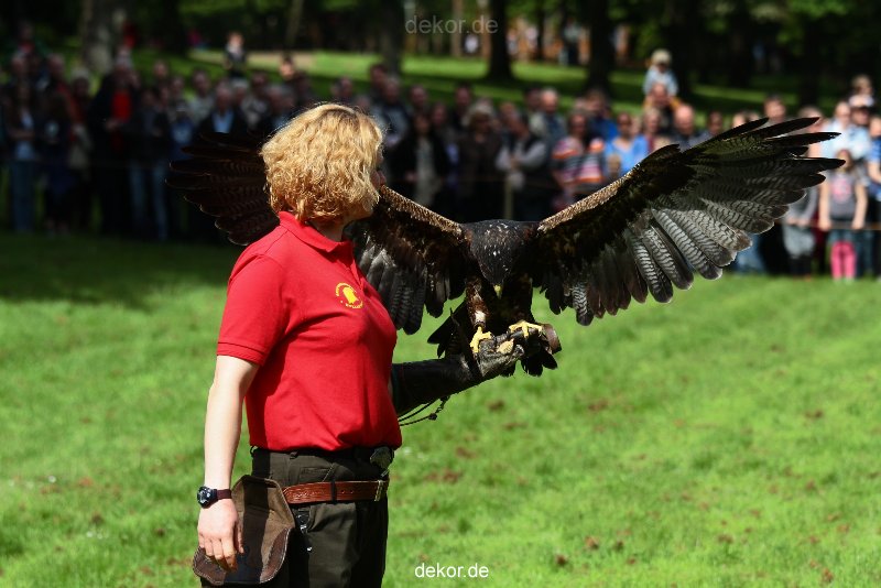 grugapark-greifvogelschau-2012-04-433