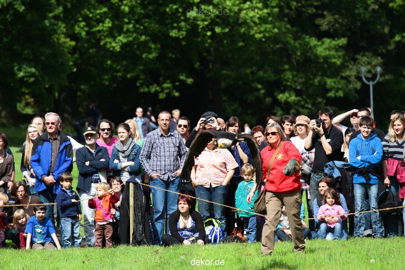 grugapark-greifvogelschau-2012-04-442