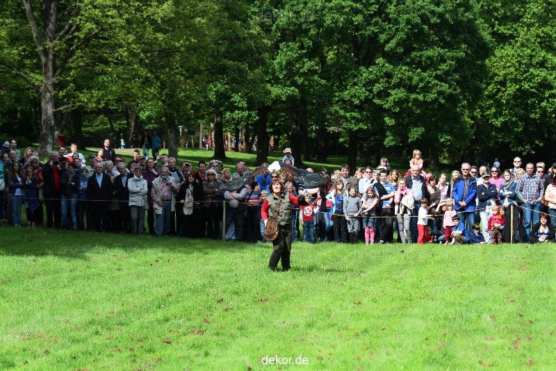 grugapark-greifvogelschau-2012-04-466
