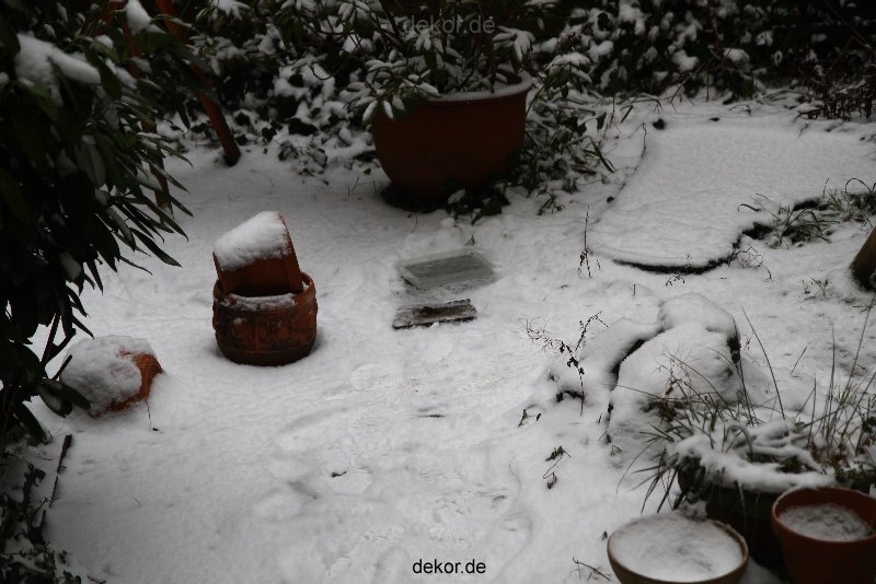 voegel-im-garten-2012-amseln-winter-009