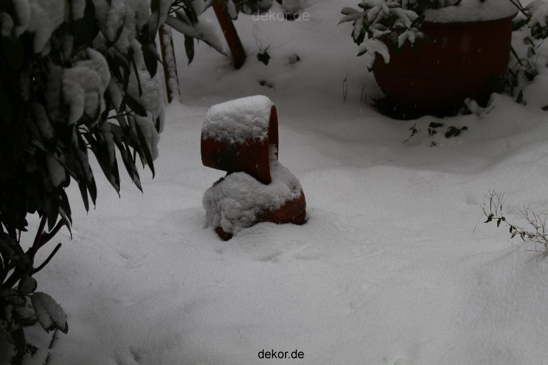 voegel-im-garten-2012-der-garten-winter-001