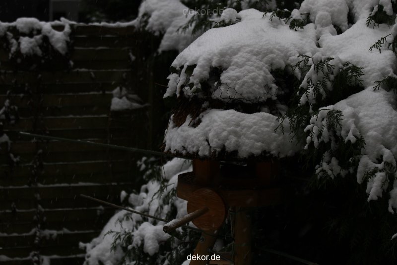 voegel-im-garten-2012-der-garten-winter-002