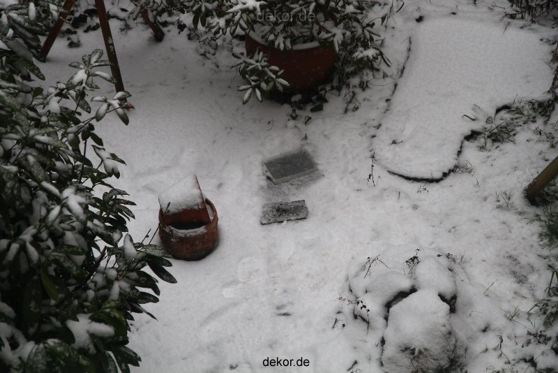 voegel-im-garten-2012-der-garten-winter-003