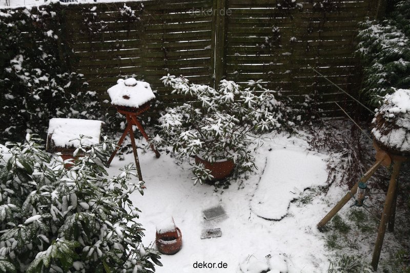 voegel-im-garten-2012-der-garten-winter-004