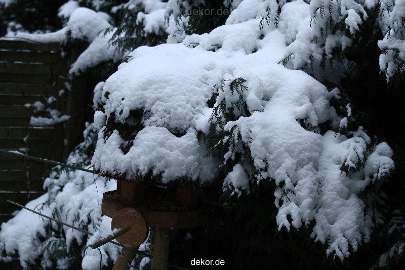 voegel-im-garten-2012-der-garten-winter-006