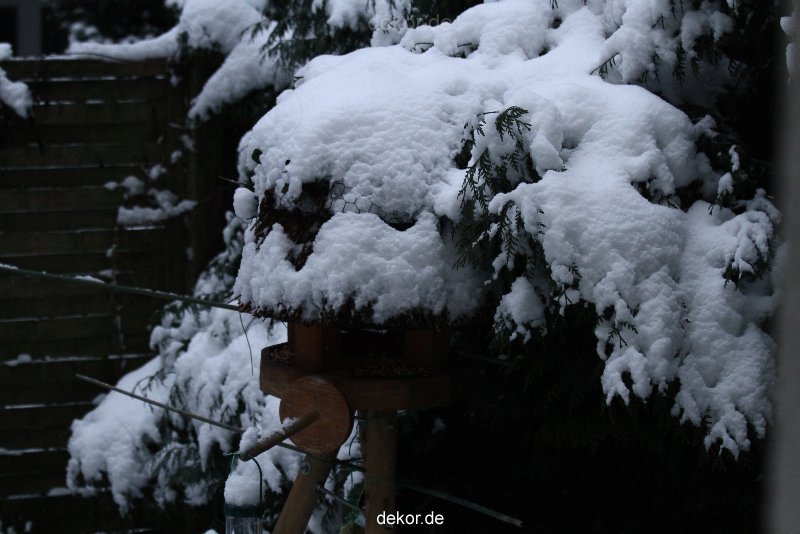 voegel-im-garten-2012-der-garten-winter-007