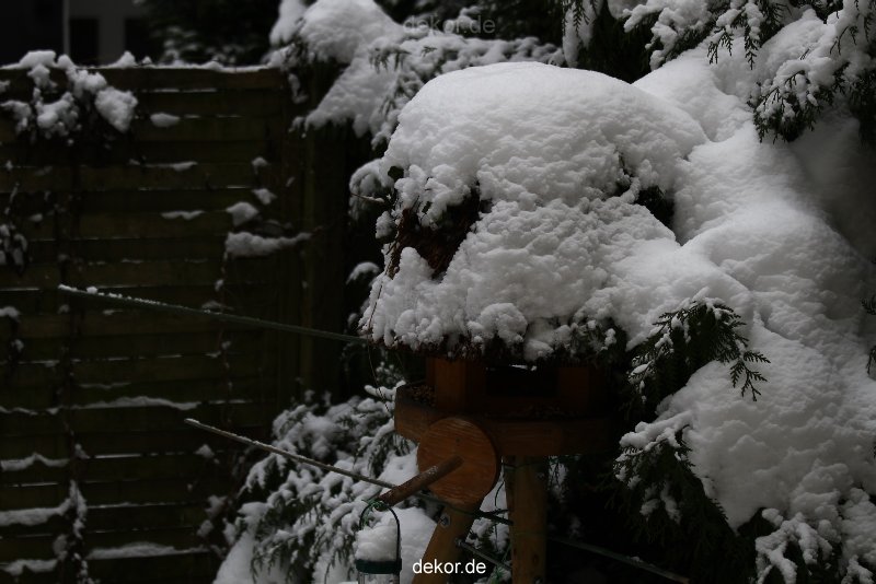 voegel-im-garten-2012-der-garten-winter-010