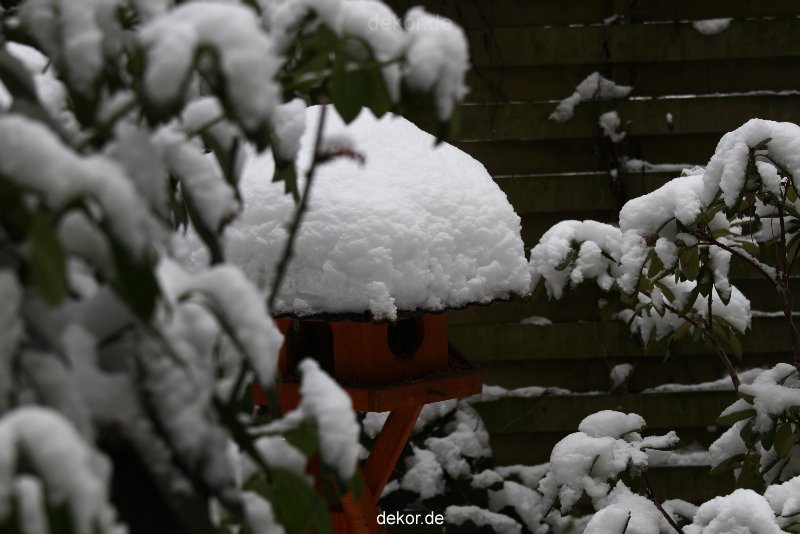 voegel-im-garten-2012-der-garten-winter-012