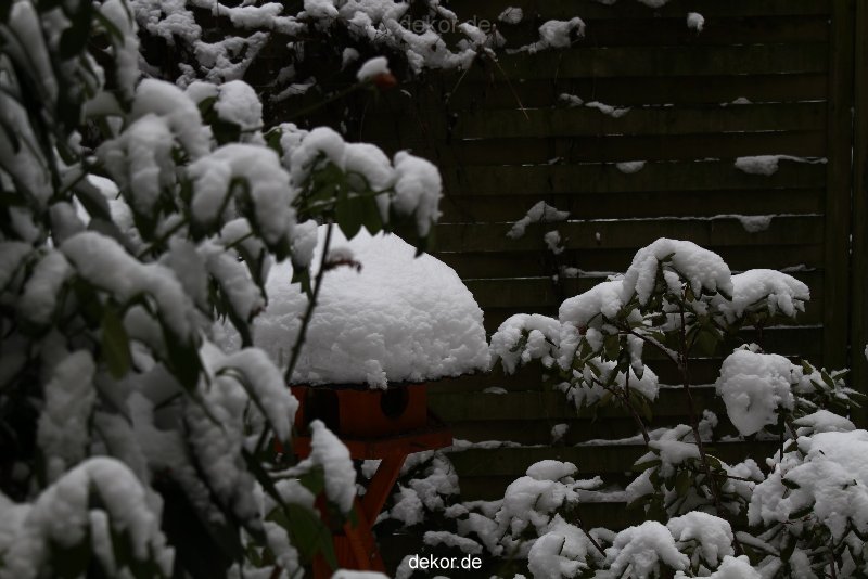 voegel-im-garten-2012-der-garten-winter-013