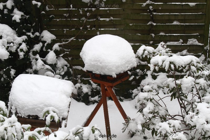 voegel-im-garten-2012-der-garten-winter-016