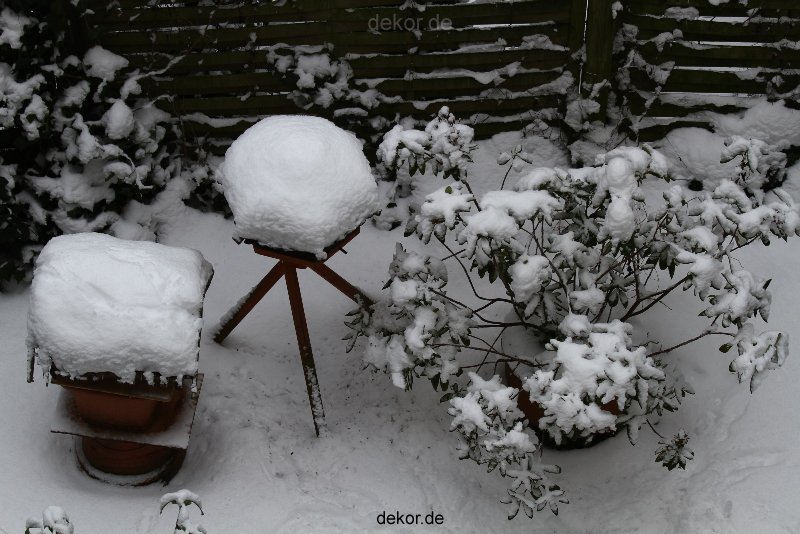 voegel-im-garten-2012-der-garten-winter-021