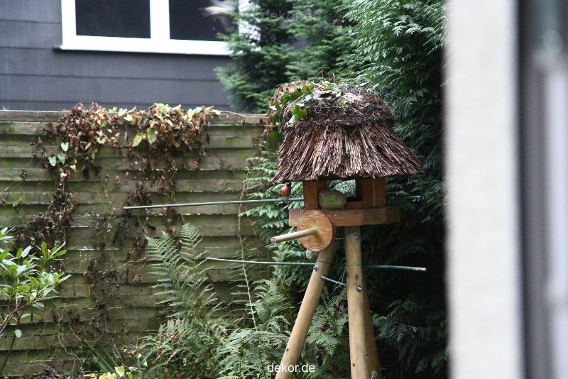 voegel-im-garten-2012-dompfaff-003