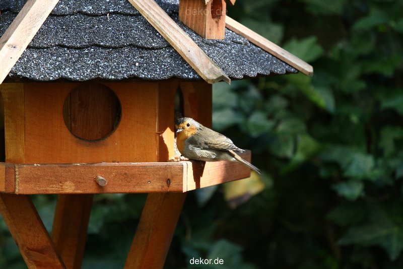 voegel-im-garten-2012-humpelheiner-026