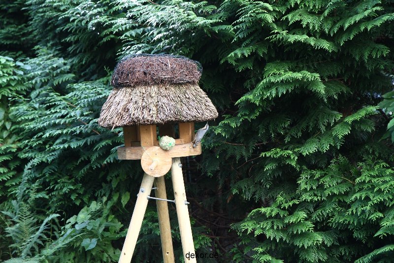 voegel-im-garten-2012-kleiber-006