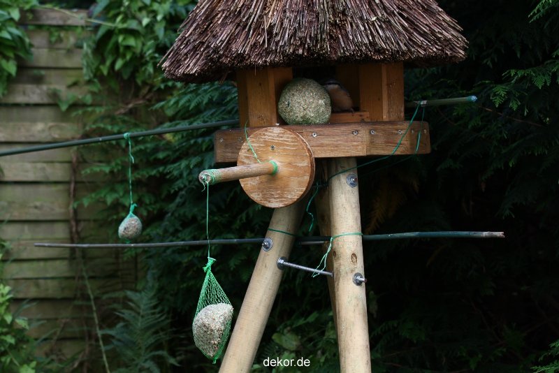 voegel-im-garten-2012-kleiber-031