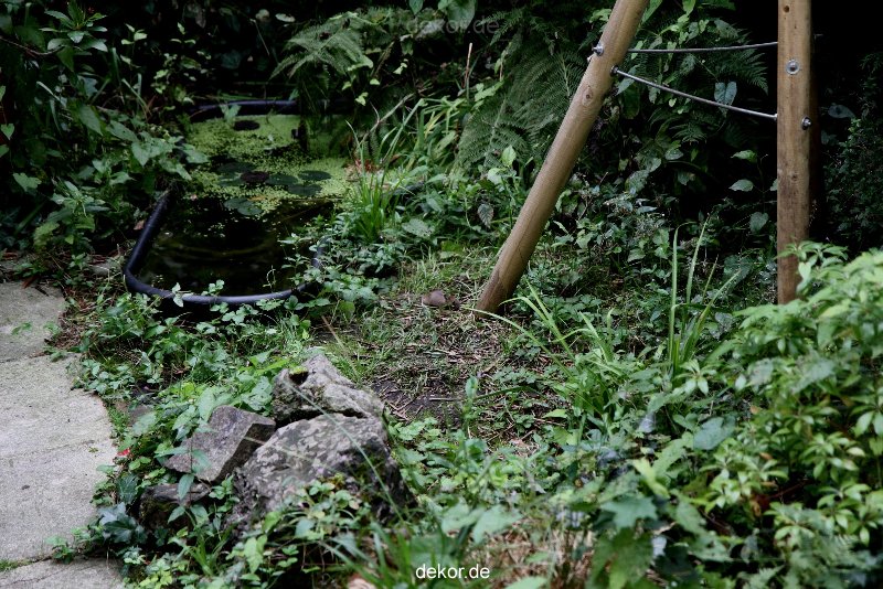 voegel-im-garten-2012-maus-009