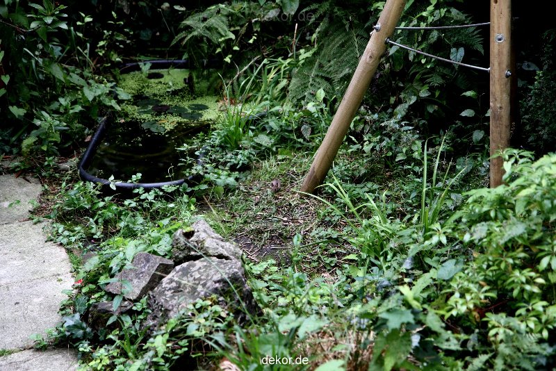 voegel-im-garten-2012-maus-010