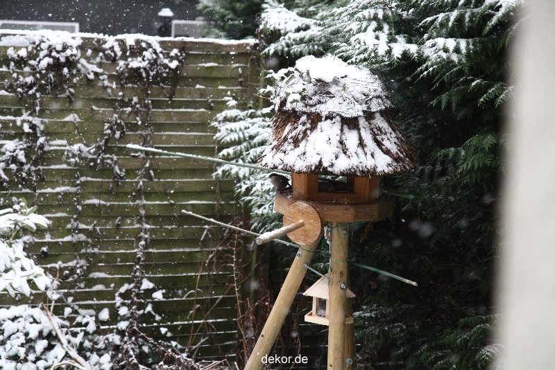 voegel-im-garten-2012-meisen-winter-001