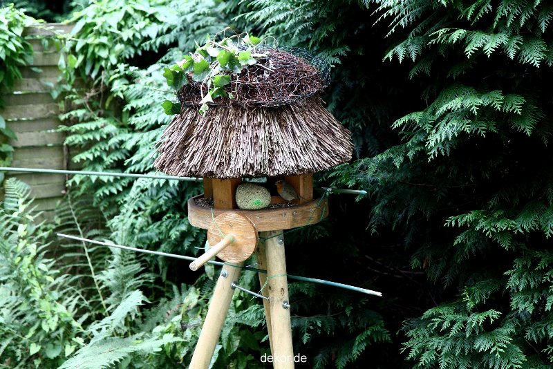 voegel-im-garten-2012-rotkehlchen-030
