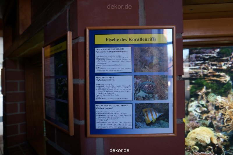 zoo-bochum-zoo-2015-03-11-007
