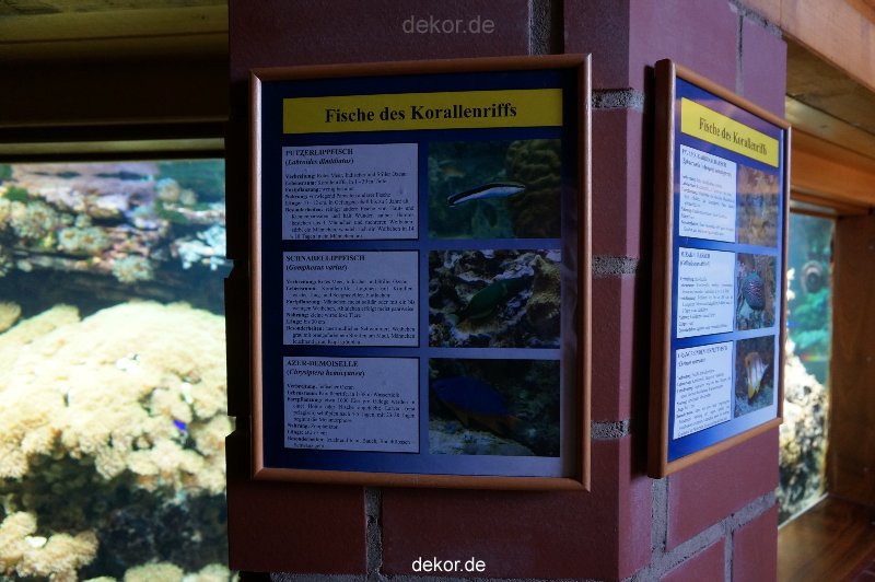 zoo-bochum-zoo-2015-03-11-008