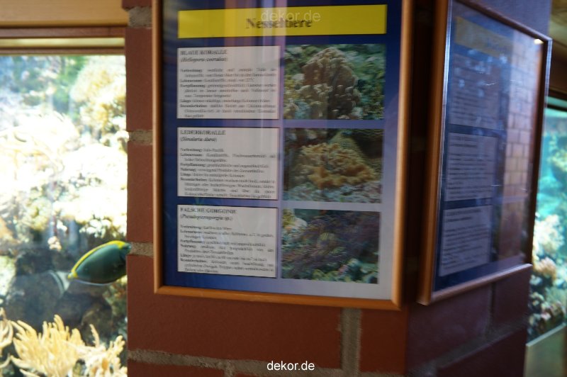 zoo-bochum-zoo-2015-03-11-010