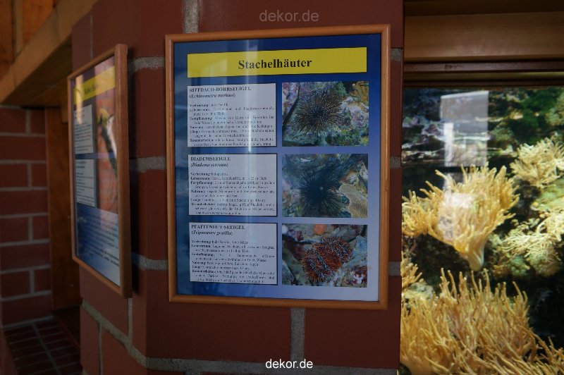 zoo-bochum-zoo-2015-03-11-011