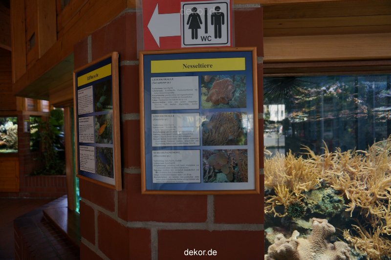 zoo-bochum-zoo-2015-03-11-017