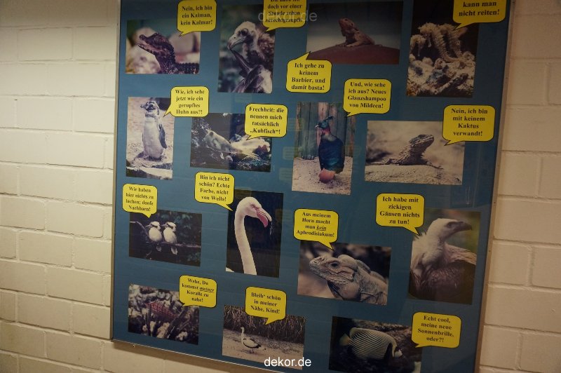 zoo-bochum-zoo-2015-03-11-022