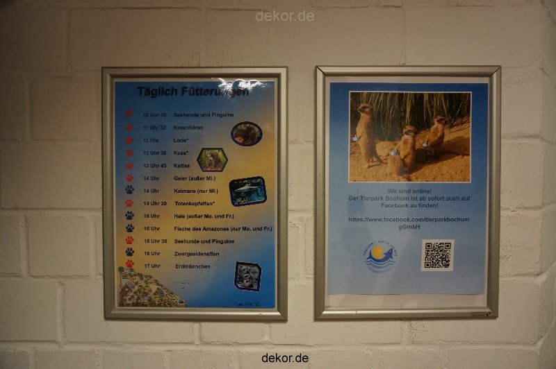 zoo-bochum-zoo-2015-03-11-024