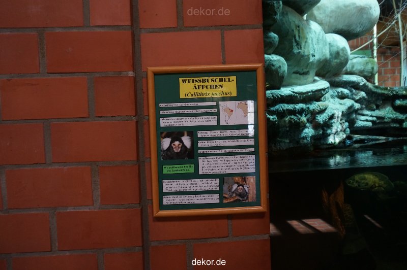 zoo-bochum-zoo-2015-03-11-026