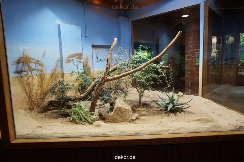 zoo-bochum-zoo-2015-03-11-030