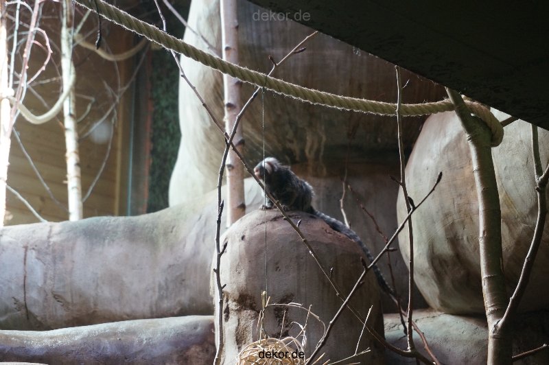 zoo-bochum-zoo-2015-03-11-032