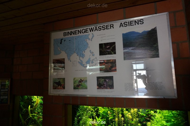 zoo-bochum-zoo-2015-03-11-033