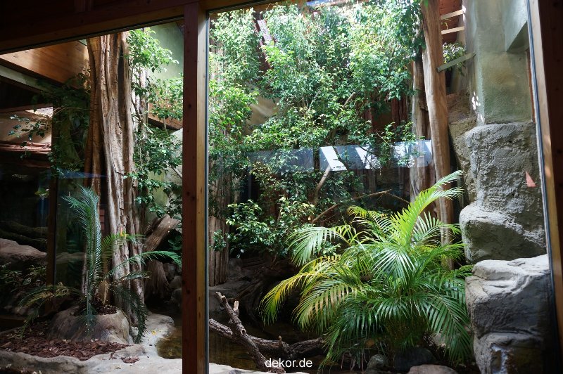 zoo-bochum-zoo-2015-03-11-041