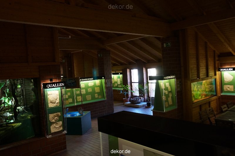 zoo-bochum-zoo-2015-03-11-046