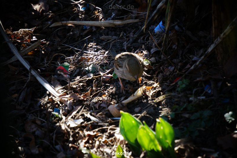 zoo-bochum-zoo-2015-03-11-051