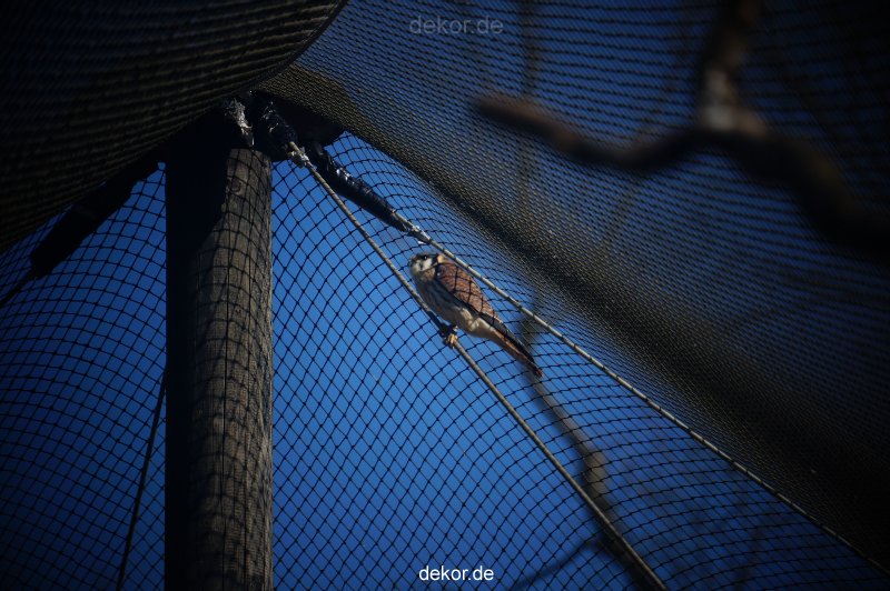 zoo-bochum-zoo-2015-03-11-057