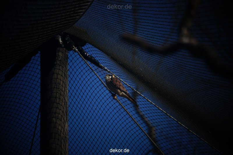 zoo-bochum-zoo-2015-03-11-058