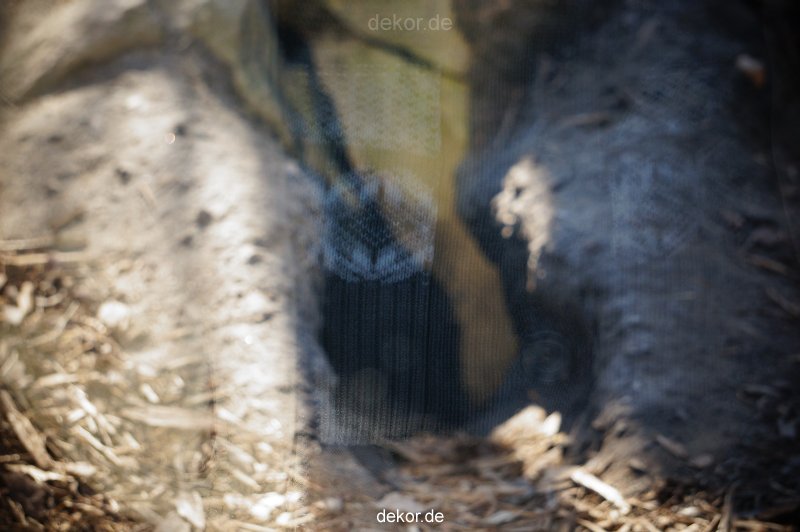zoo-bochum-zoo-2015-03-11-069