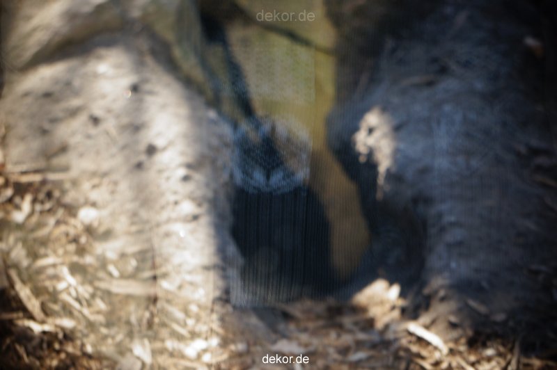 zoo-bochum-zoo-2015-03-11-070