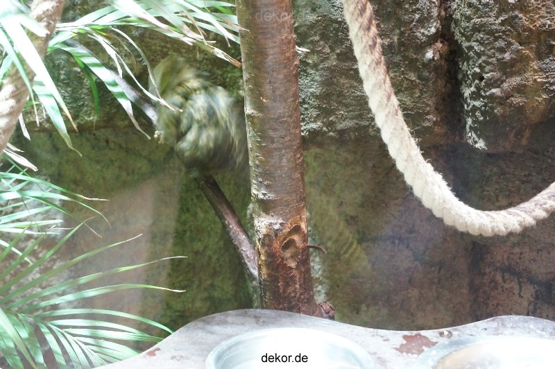 zoo-bochum-zoo-2015-03-11-073