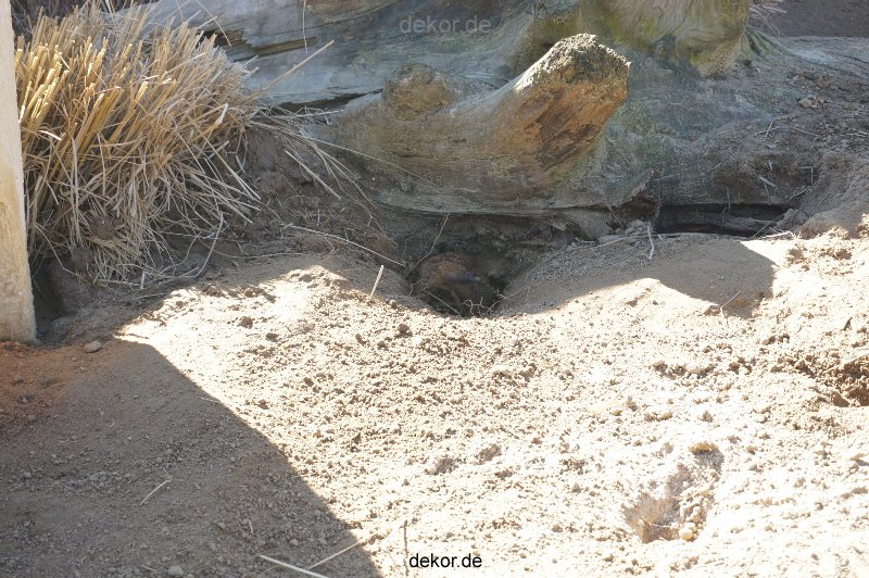 zoo-bochum-zoo-2015-03-11-082