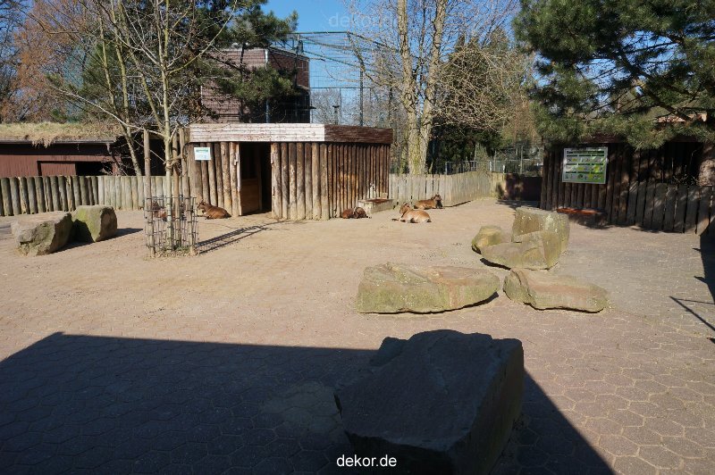 zoo-bochum-zoo-2015-03-11-090