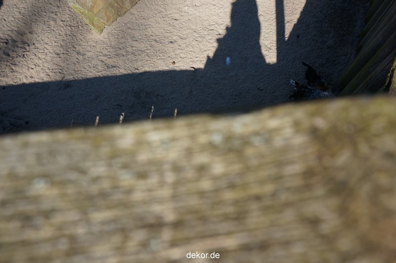 zoo-bochum-zoo-2015-03-11-093