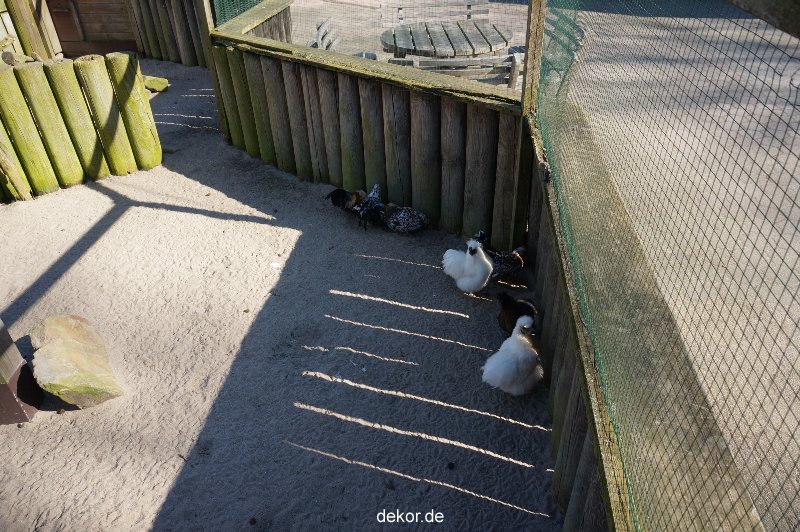 zoo-bochum-zoo-2015-03-11-094