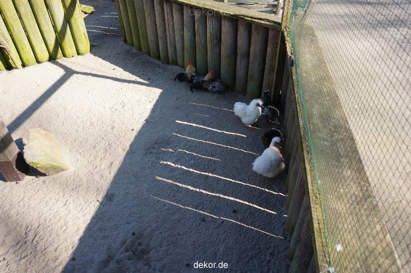 zoo-bochum-zoo-2015-03-11-095